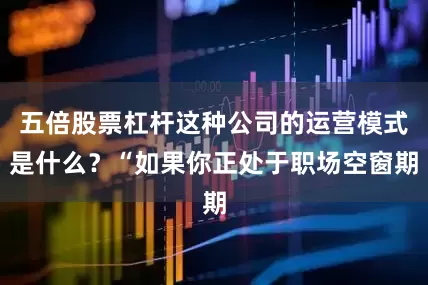 五倍股票杠杆这种公司的运营模式是什么？“如果你正处于职场空窗期