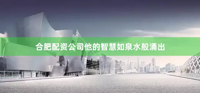 合肥配资公司他的智慧如泉水般涌出
