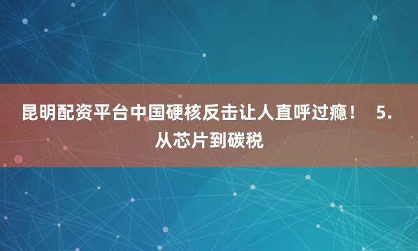 昆明配资平台中国硬核反击让人直呼过瘾！  5. 从芯片到碳税