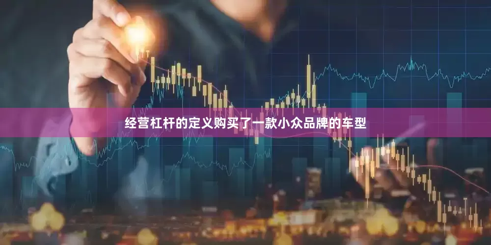 经营杠杆的定义购买了一款小众品牌的车型